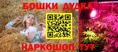 каннабис Лесосибирск